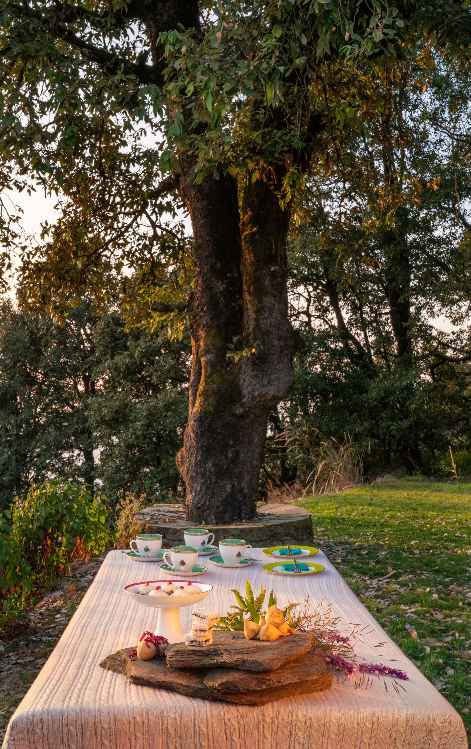 DSC08510 HD Mary Budden Estate Binsar Experiences